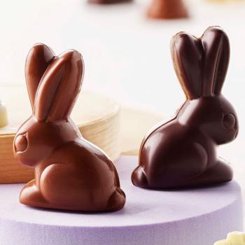 Lapins de Pâques en chocolat