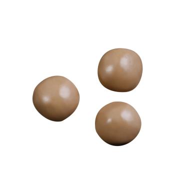 noisette turbinee oryola par weiss