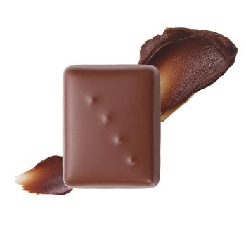 Ganache Grand Cru Madagascar - 100 pièces